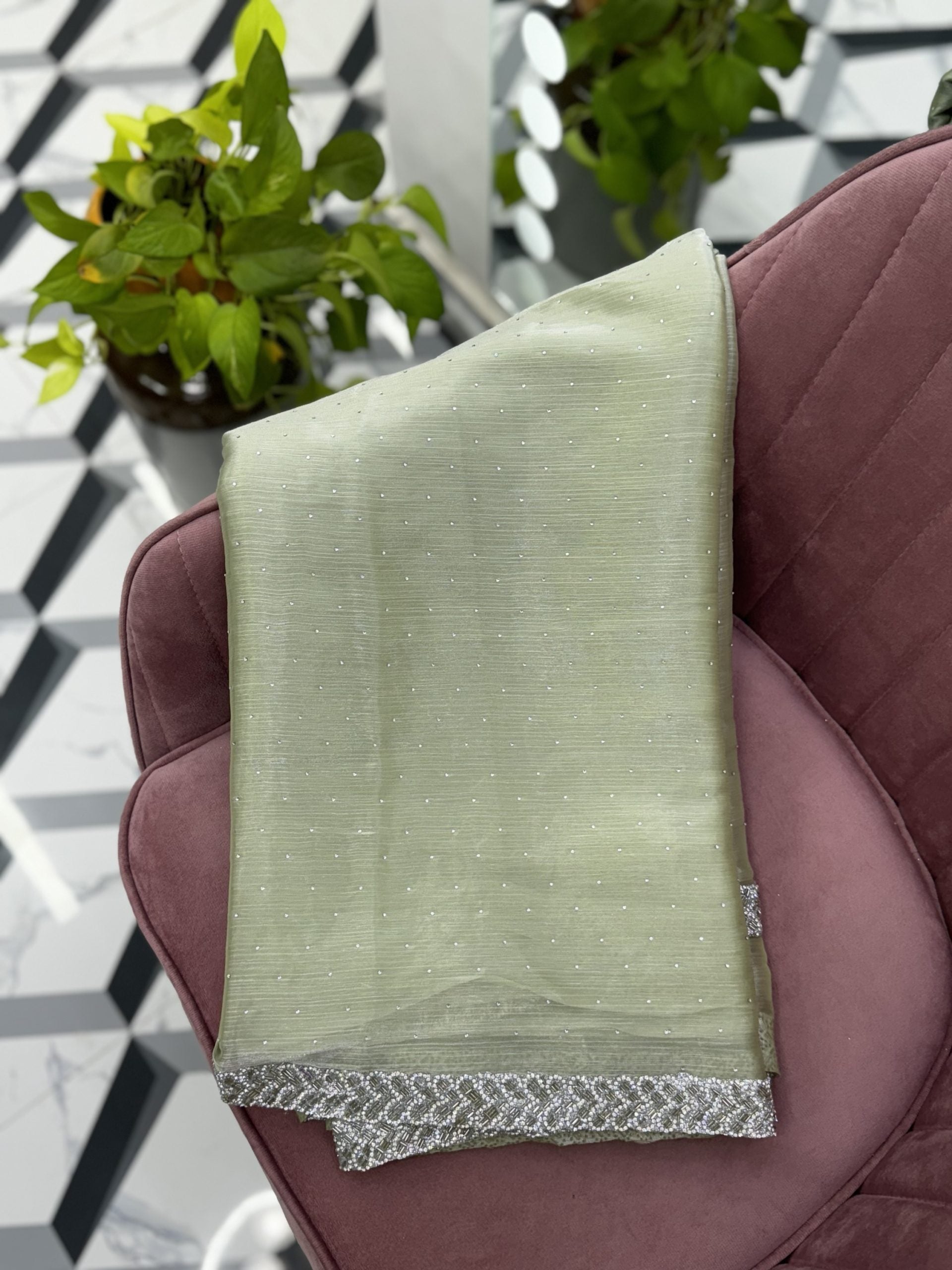 Pista Fancy Work Saree