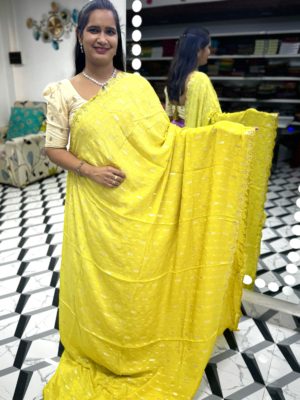 Dual Shaded Mirror Work Saree