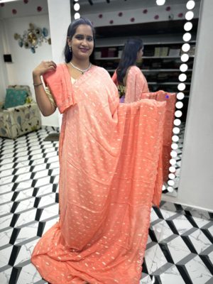 Dual Shaded Mirror Work Saree