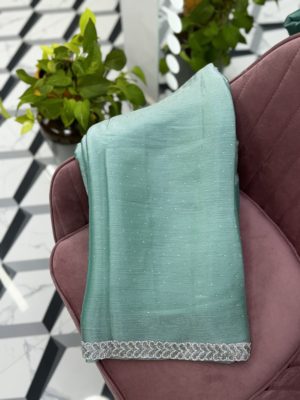 Powder Blue Fancy Work Saree