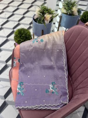 Dual Shaded Fancy Crush Saree