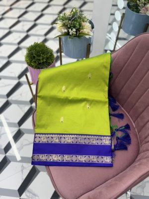 Animisha Green and Blue Saree